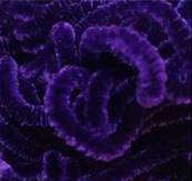 Chenille Soie Ovale - SO1,5 - 5M - 3336 - 2.65 mm